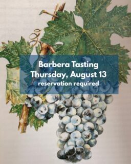 Our August 2026 newsletter is out! Highlights include an upcoming Barbera Tasting and featured wine announcements. Visit our website to be added to our mailing list!
Barbera can express itself as light, fruity and chillable or dense, powerful and age-worthy and in between those two extremes. We will cover the full range of styles and you should emerge with a new appreciation of the wonderful diversity Barbera offers.
THURSDAY, AUGUST 13 4:30-6:30pm
Spots are limited. Reservation is required. Call, stop by or visit our website to reserve a spot.